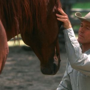 Filmes imperdíveis do gênero country para quem ama o universo dos cavalos