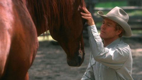 Filmes imperdíveis do gênero country para quem ama o universo dos cavalos