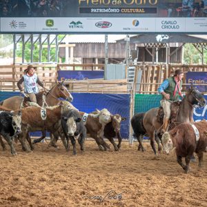 Final da Campereada/Team Penning reúne recorde de inscritos em Esteio
