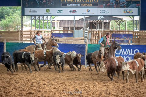 Final da Campereada/Team Penning reúne recorde de inscritos em Esteio