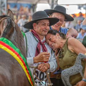 Final da Morfologia agita Arena do Cavalo Crioulo antes da Expointer