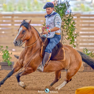India Envenenada Del Chamame e Ópio da Baraúna se consagram na Arena do Cavalo Crioulo