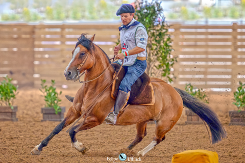 India Envenenada Del Chamame e Ópio da Baraúna se consagram na Arena do Cavalo Crioulo