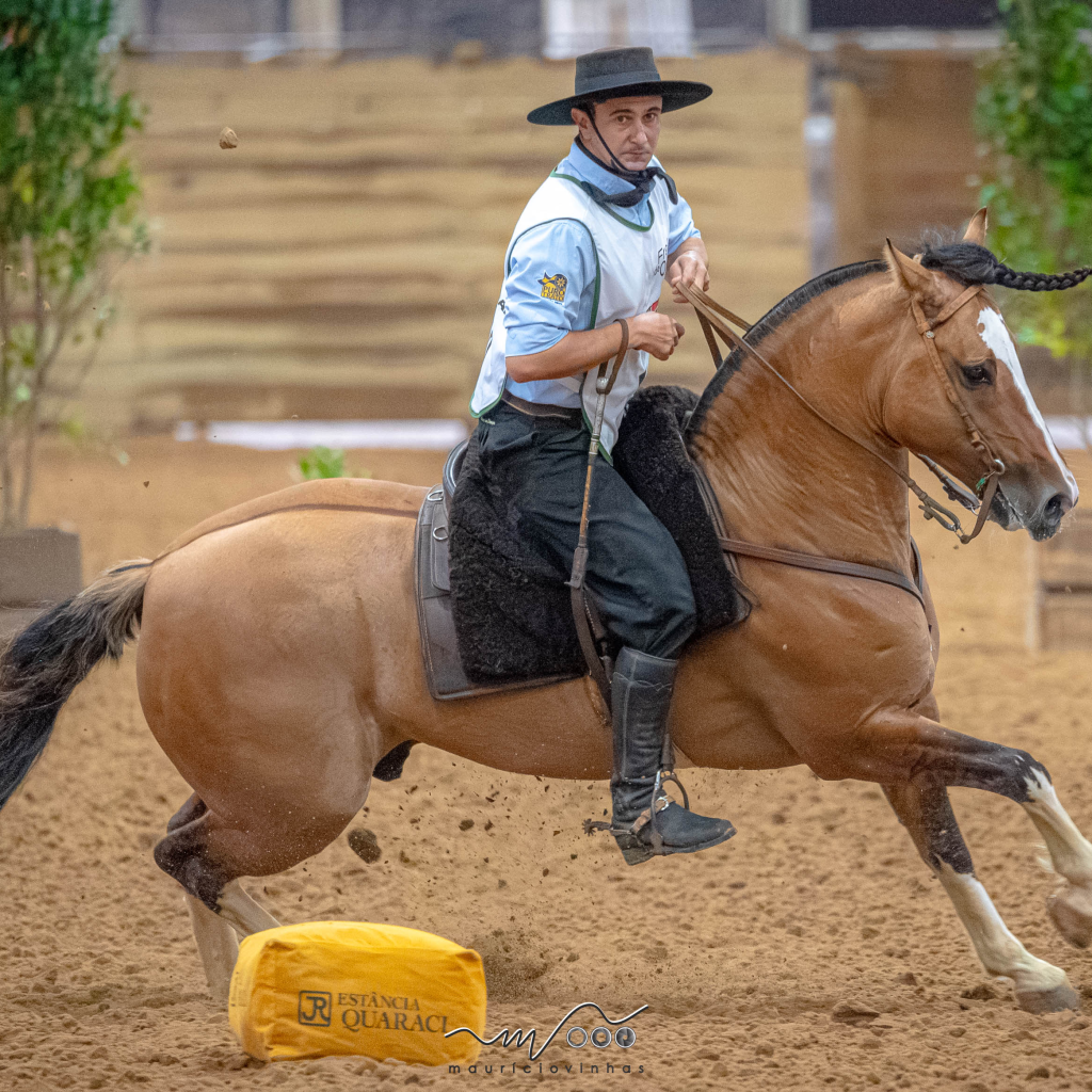Freio de Ouro Machos  - Ópio da Baraúna
