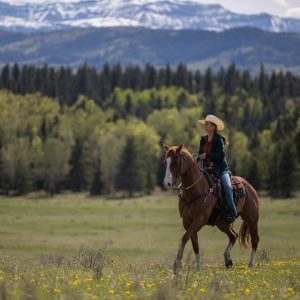 Fãs de Heartland preparem-se, a 19ª temporada chega ao Brasil em breve