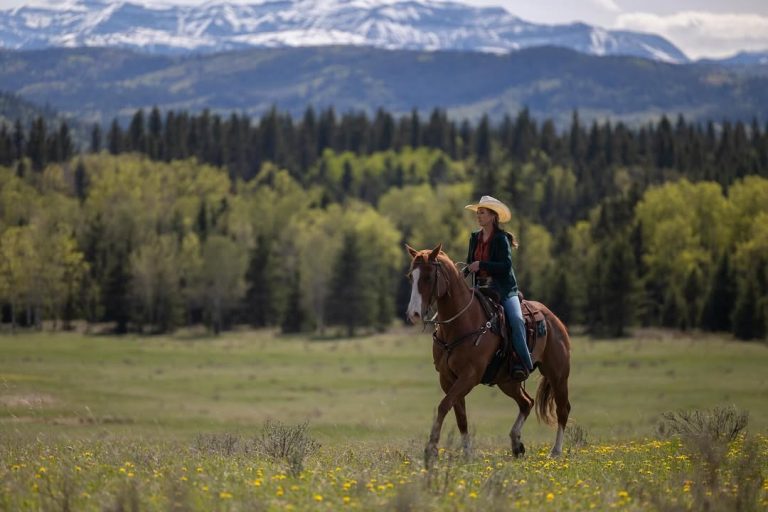 Fãs de Heartland preparem-se, a 19ª temporada chega ao Brasil em breve