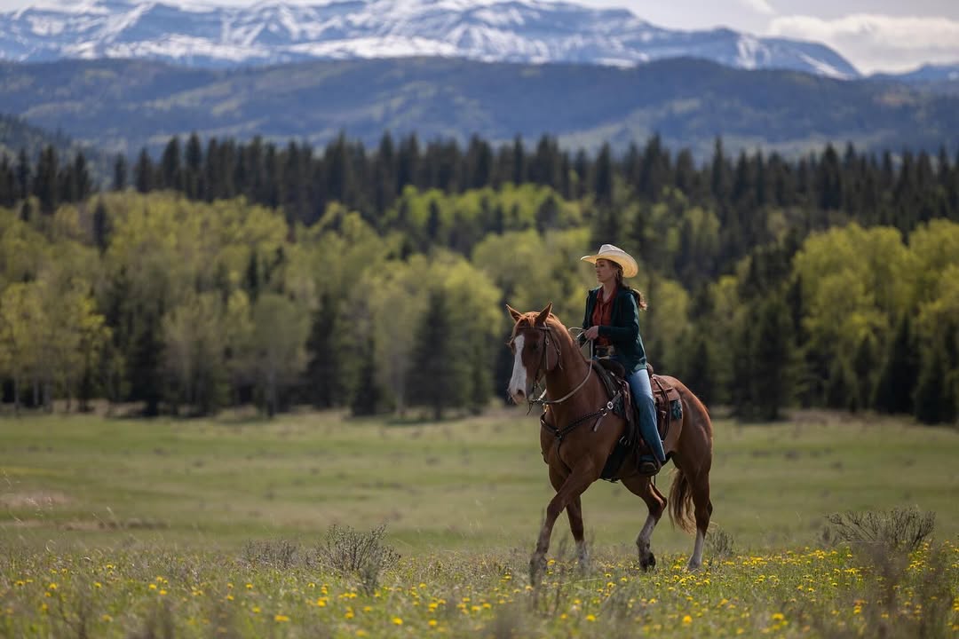 Fãs de Heartland preparem-se, pois a 19ª temporada chega ao Brasil em breve