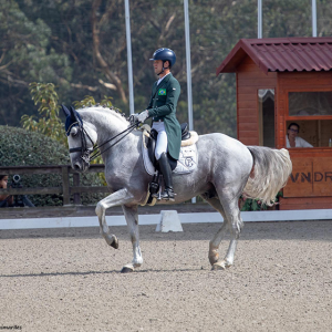 Time Brasil de Adestramento já tem cavaleiro tecnicamente qualificado para mundial