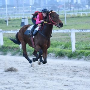 Jockey Club de São Paulo abre inscrições para Escola de Preparação de Jóqueis