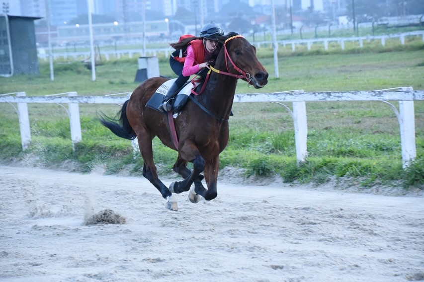 Jockey Club de São Paulo abre inscrições para Escola de Preparação de Jóqueis