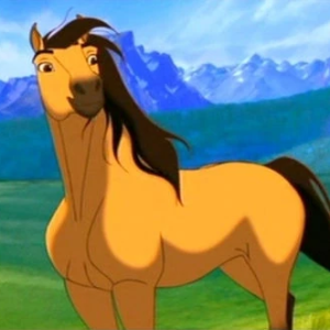 Kiger Mustang: a raça do cavalo Spirit