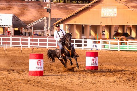Mangalarga Marchador volta ao Parque da Gameleira com esporte, churrasco e atrações para toda a família