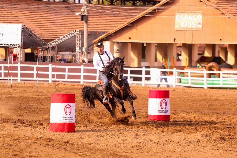 Mangalarga Marchador volta ao Parque da Gameleira com esporte, churrasco e atrações para toda a família