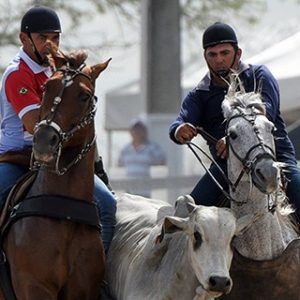 Nordeste recebe encontro mundial de Vaquejada e celebra tradição, esporte e cultura