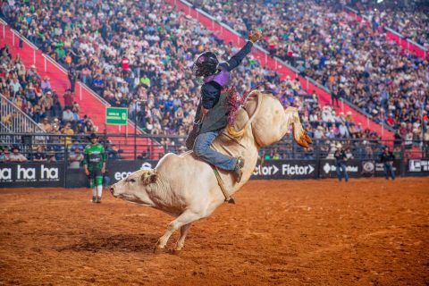 PBR na Expô Araçatuba reúne grandes nomes da montaria em touros