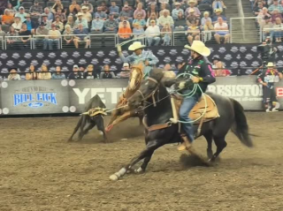 Brasileiro chega mais uma vez à NFR como líder do ranking da PRCA