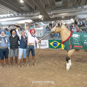 Paixão pelo Cavalo Crioulo atravessa fronteiras no 4º Freno de Europa