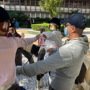 Pôneis da Equoterapia da Hípica de São Paulo levam alegria a crianças em tratamento no A.C.Camargo