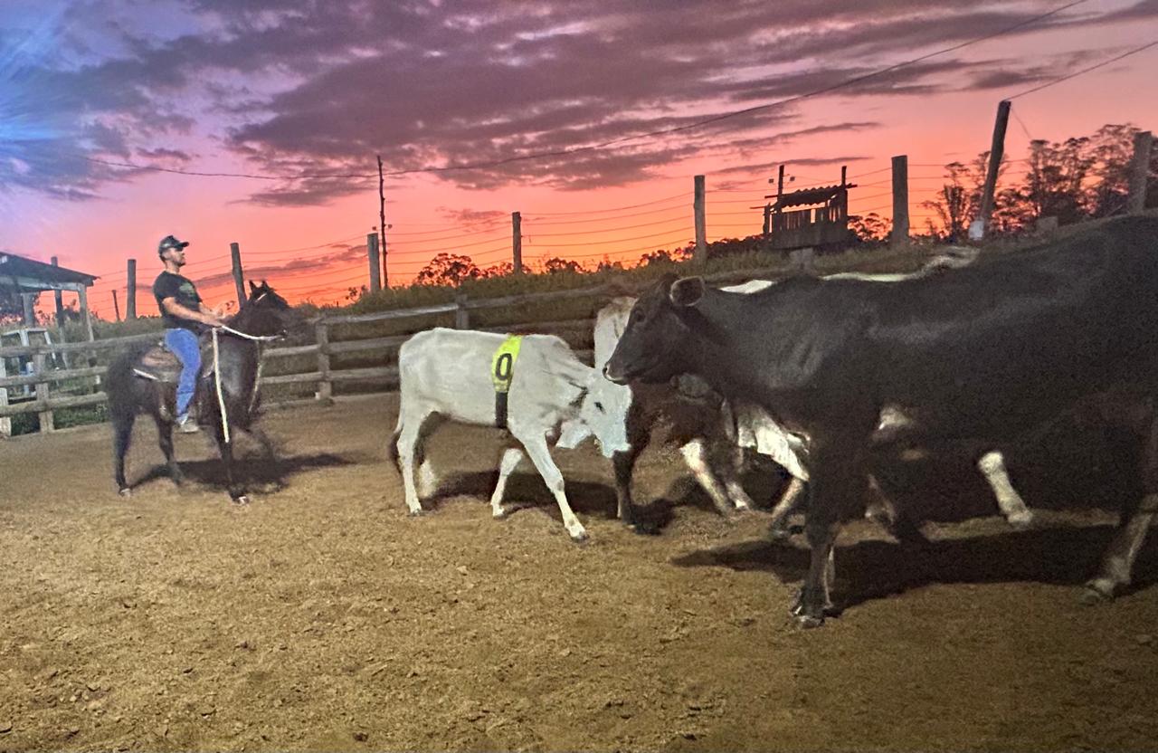 RB Ranch se consolida como templo do esporte equestre de trabalho em Campinas