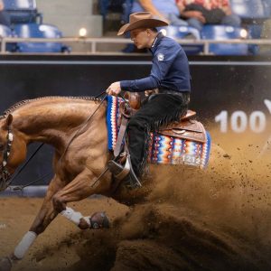 Competidores brasileiros fazem bonito em prova de Rédeas nos EUA