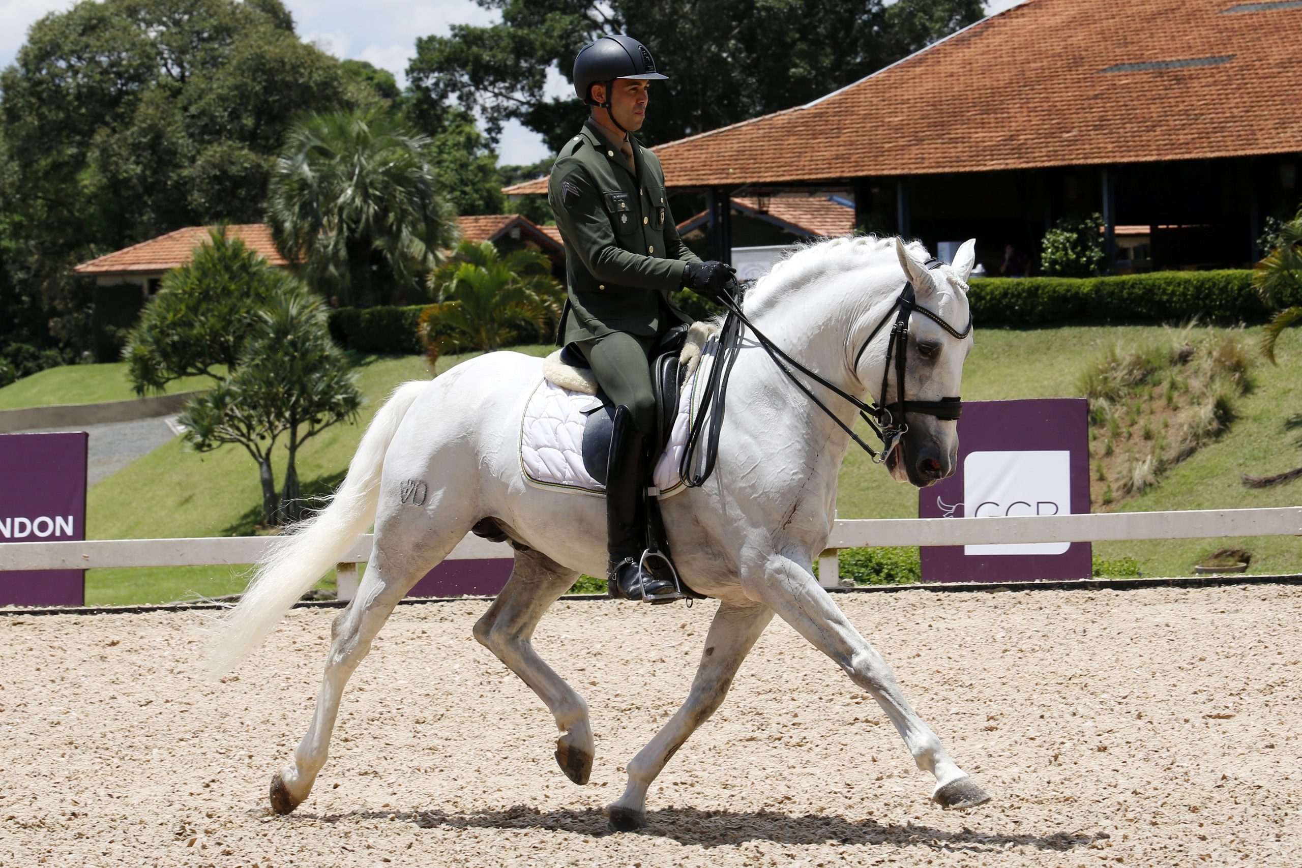 Rocas Festival 2025 transforma Itu em palco internacional do cavalo Lusitano e grandes atrações