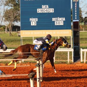 Sapeca Dynasty HWS brilha no GP Rainha da Velocidade, e Fantastic Feature conquista bicampeonato no GP Rei da Velocidade