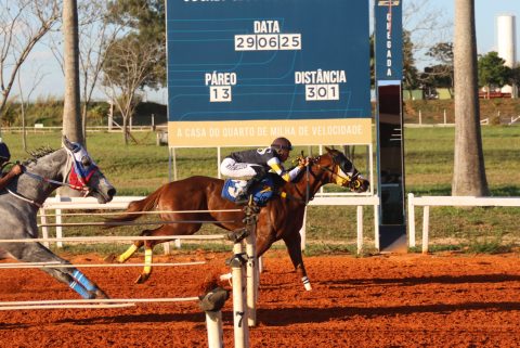 Sapeca Dynasty HWS brilha no GP Rainha da Velocidade, e Fantastic Feature conquista bicampeonato no GP Rei da Velocidade