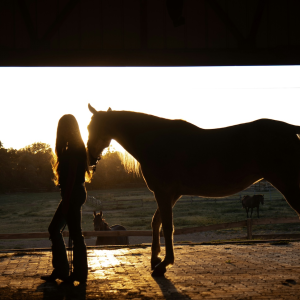 Setembro Amarelo: dicas de como evitar esgotamento mental
