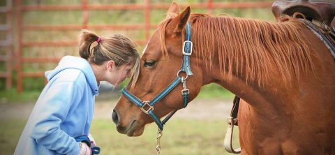Setembro Amarelo: podemos cuidar da saúde mental ao conviver com cavalos