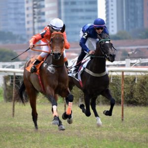 Stud Brasil Itacaré brilha em Cidade Jardim e conquista primeira vitória