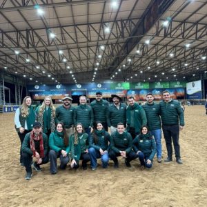 Vetnil valoriza a raça Crioulo no Freio de Ouro 2025 com ações voltadas à saúde equina