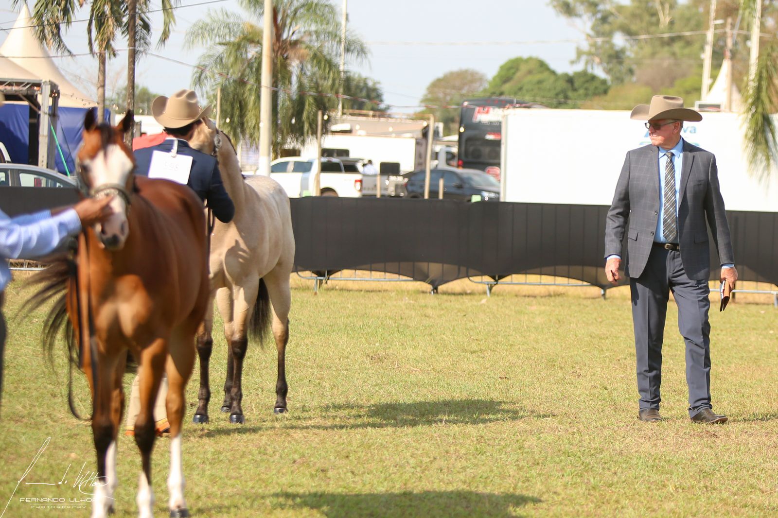 ABQM inova e traz juiz americano exclusivo para Conformação no Potro do Futuro