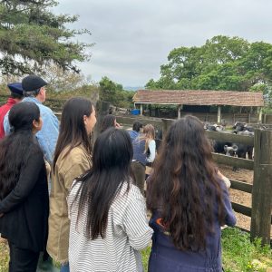 ANC realiza primeira seleção do país para inspetores técnicos bubalinos