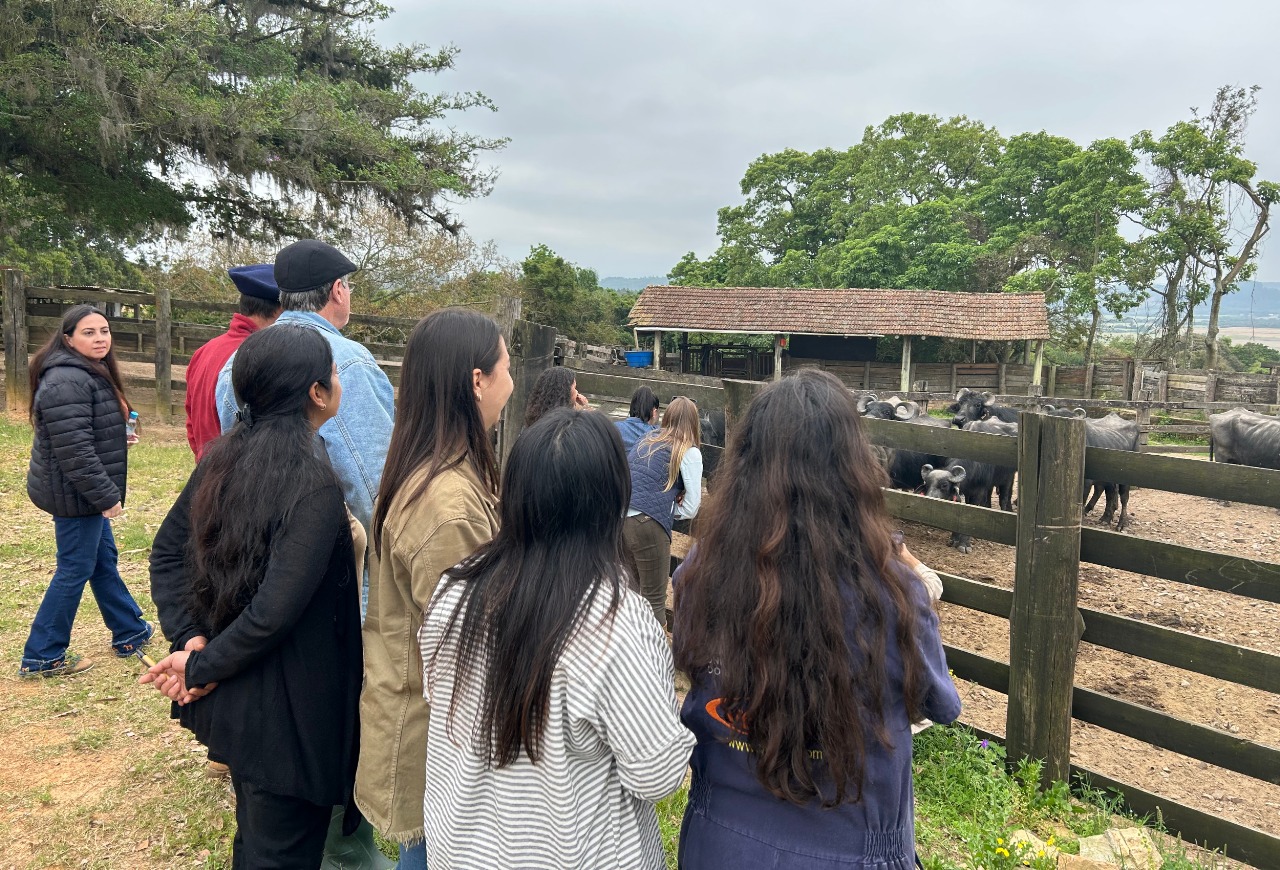 ANC realiza primeira seleção do país para inspetores técnicos bubalinos