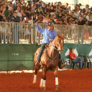 Araçatuba recebe maior evento do Quarto de Milha com mais de 11.500 inscrições