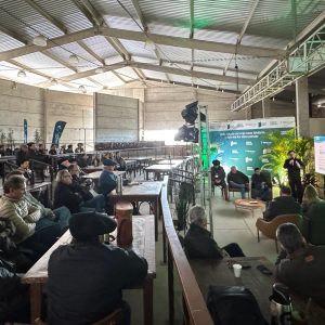 Assembleia Geral Ordinária 2025 da ABCCC terá chapa única e programação definida