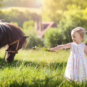 Dia das Crianças: o encantamento do cavalo que forma gerações de apaixonados pelo mundo equestre