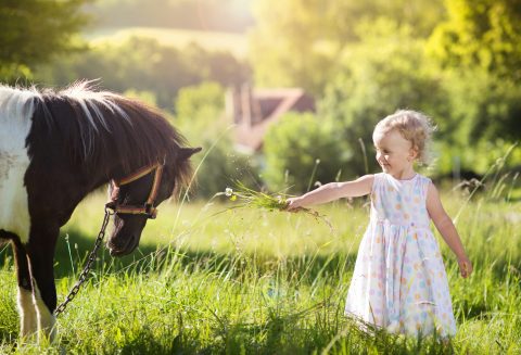 Dia das Crianças: o encantamento do cavalo que forma gerações de apaixonados pelo mundo equestre