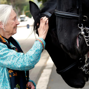 “Você tem que decidir que tipo de diferença você quer fazer”