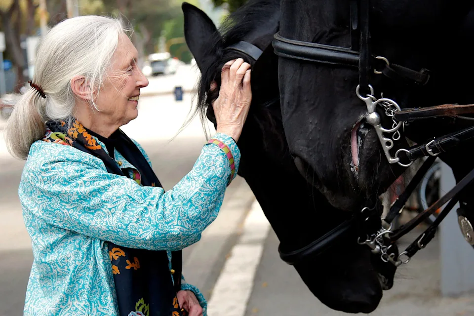 “Você tem que decidir que tipo de diferença você quer fazer”