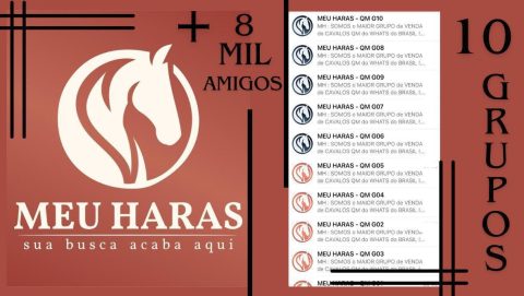 Meu Haras QM: a maior comunidade de negócios do Quarto de Milha no WhatsApp
