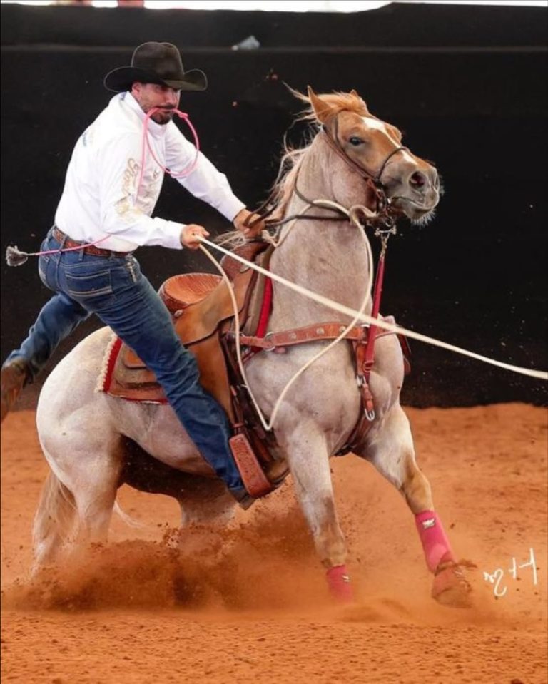 Neymar pai entra para o mundo dos cavalos com campeão do Potro do Futuro 2025
