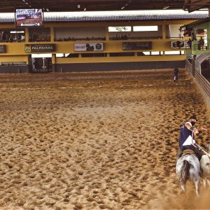 Parque das Palmeiras sediará etapa do Campeonato Portal Vaquejada 2026 com R$ 1 milhão em premiação