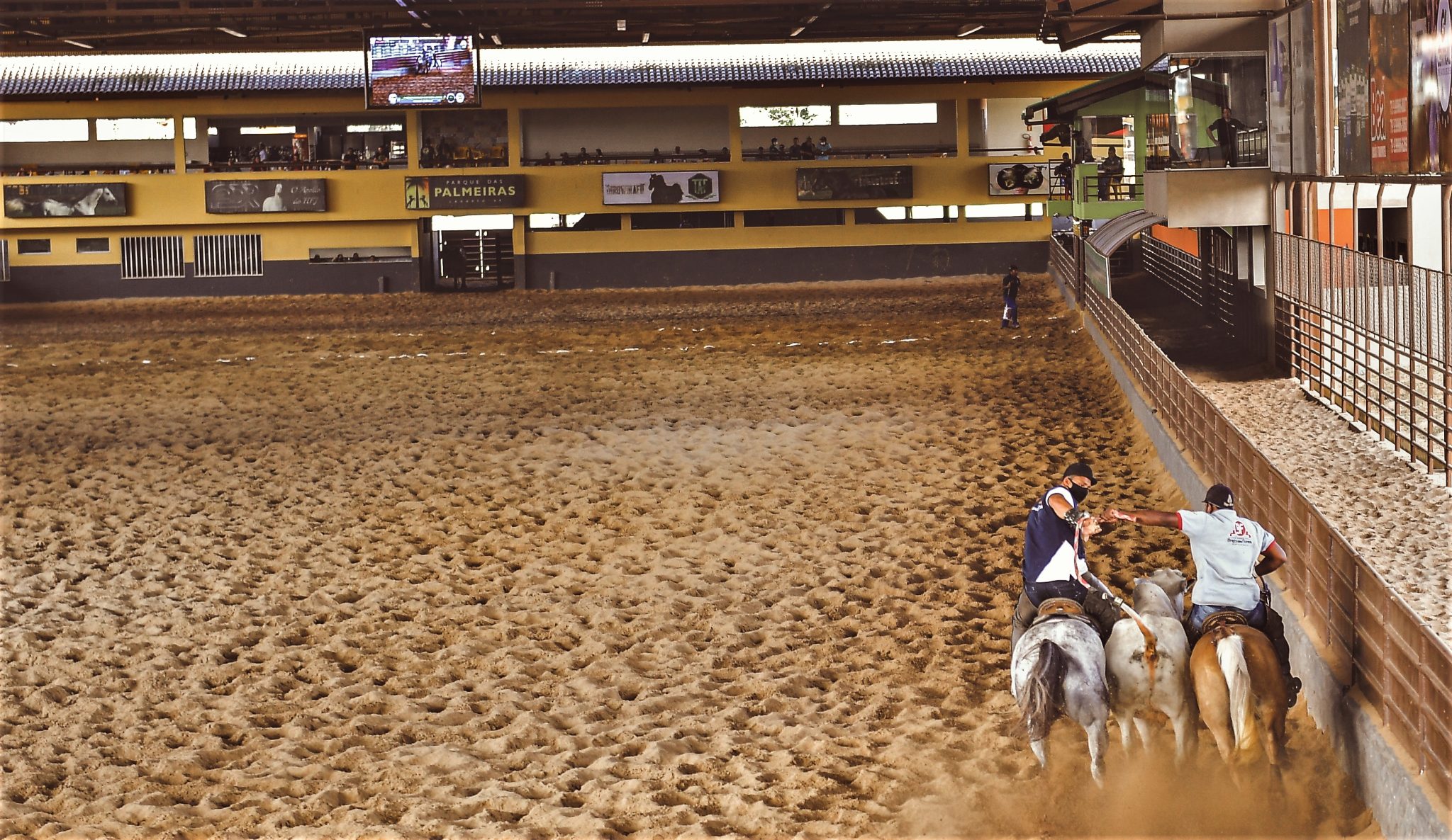 Parque das Palmeiras sediará etapa do Campeonato Portal Vaquejada 2026 com R$ 1 milhão em premiação