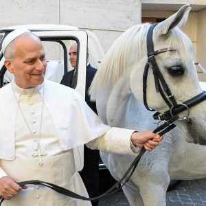 Presente ao Papa destaca a relevância mundial do Cavalo Árabe, uma das raças mais antigas da história