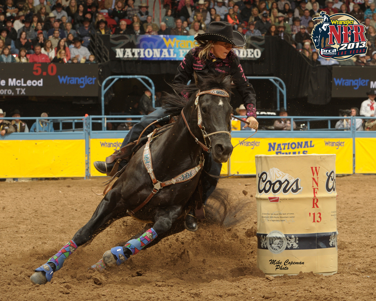 Slick By Design: o adeus a um dos maiores garanhões da história mundial dos Três Tambores