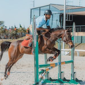 Tatuí (SP) sedia, em novembro, a principal exposição esportiva do cavalo Árabe no Brasil