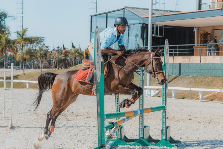 Tatuí (SP) sedia, em novembro, a principal exposição esportiva do cavalo Árabe no Brasil
