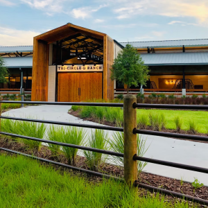 Você sabia que a Disney tem um rancho de cavalos?