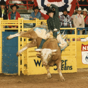 Conheça fatos curiosos sobre a Final Mundial da PRCA marcada para começo de dezembro